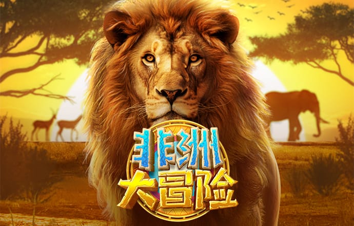 6t平台app体育